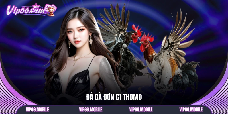 Đá gà đơn C1 Thomo